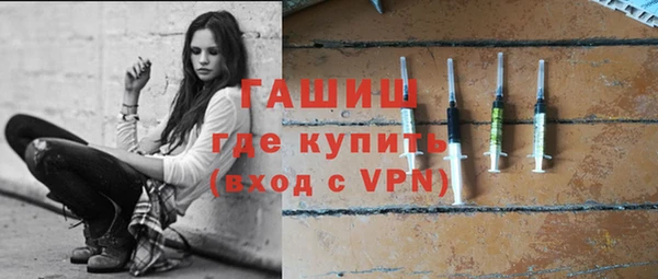 индика Абаза