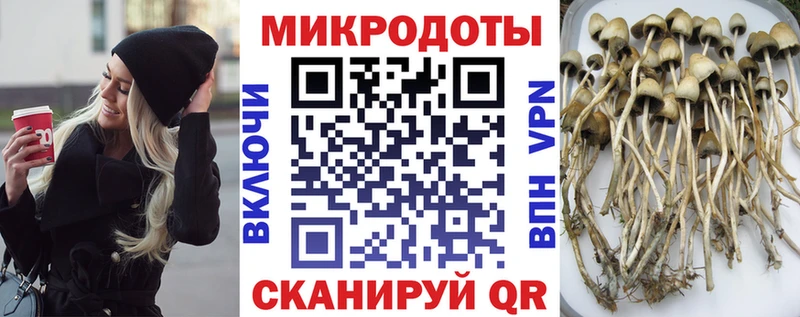 Псилоцибиновые грибы мицелий  Сольвычегодск 